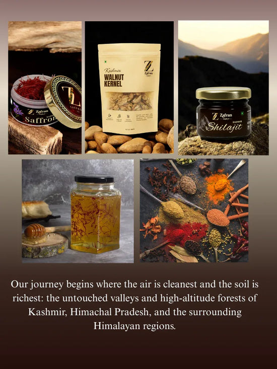 1010 - Zafran Zephyr